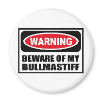Warning BEWARE OF MY BULLMASTIFF Magnet by warningsignshirts Warning BEWARE OF MY BULLMASTIFF Magnet