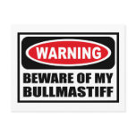 Warning BEWARE OF MY BULLMASTIFF Postcard