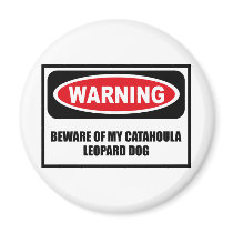 Warning BEWARE OF MY CATAHOULA LEOPARD DOG Magnet