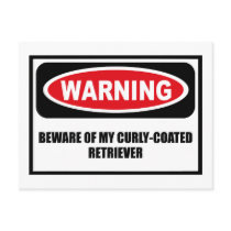 Warning BEWARE OF MY CURLY-COATED RETRIEVER Postca postcards by warningsignshirts Warning BEWARE OF MY CURLY-COATED RETRIEVER Postca postcards