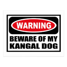 Warning BEWARE OF MY KANGAL DOG Postcard