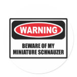 Warning BEWARE OF MY MINIATURE SCHNAUZER Sticker