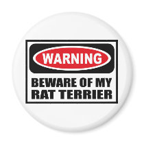 Warning BEWARE OF MY RAT TERRIER Magnet