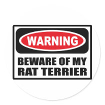 Warning BEWARE OF MY RAT TERRIER Sticker