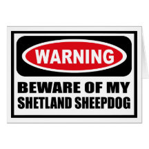 Warning BEWARE OF MY SHETLAND SHEEPDOG Greeting Ca Greeting Cards