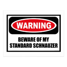 Warning BEWARE OF MY STANDARD SCHNAUZER Postcard