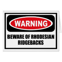 Warning BEWARE OF RHODESIAN RIDGEBACKS Greeting Ca Cards