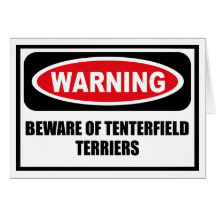 Warning BEWARE OF TENTERFIELD TERRIERS Greeting Ca Greeting Cards