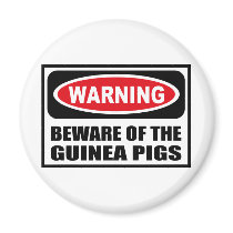 Warning BEWARE OF THE GUINEA PIGS Magnet by warningsignshirts Warning BEWARE OF THE GUINEA PIGS Magnet