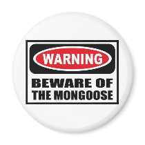 Warning BEWARE OF THE MONGOOSE Magnet