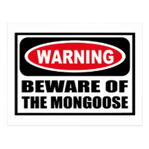 Warning BEWARE OF THE MONGOOSE Postcard