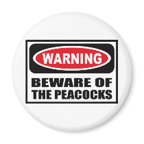 Warning BEWARE OF THE PEACOCKS Magnet