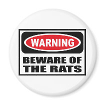 Warning BEWARE OF THE RATS Magnet