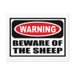 Warning BEWARE OF THE SHEEP Postcard