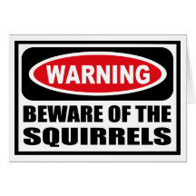 Warning BEWARE OF THE SQUIRRELS Greeting Card