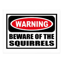 Warning BEWARE OF THE SQUIRRELS Postcard