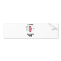 Warning! Big Mouth Inside (Oral Cavity Anatomy) Bumper Stickers