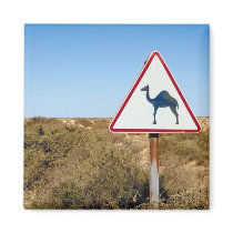 Warning Camels Ahead Fridge Magnets