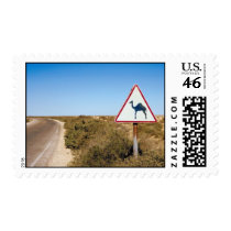 Warning Camels Ahead Postage Stamp