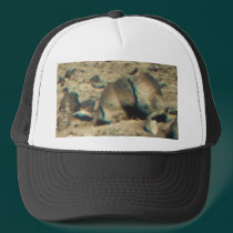 Warning! Critter At 1 O'Clock! hats