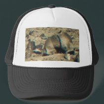 Warning! Critter At 1 O'Clock! hats