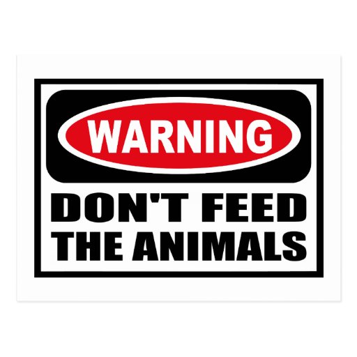 Warning DON'T FEED THE ANIMALS Postcard