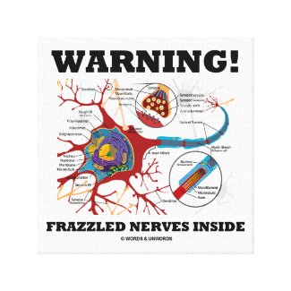 Warning! Frazzled Nerves Inside Neuron Synapse Canvas Print