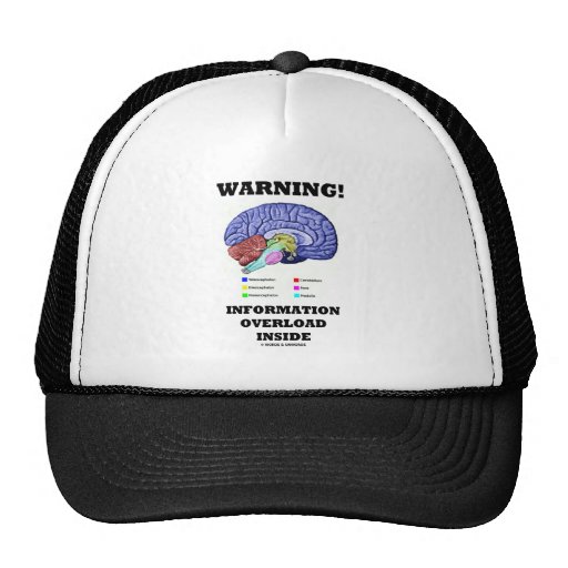 Warning! Information Overload Inside (Brain Humor) Hats