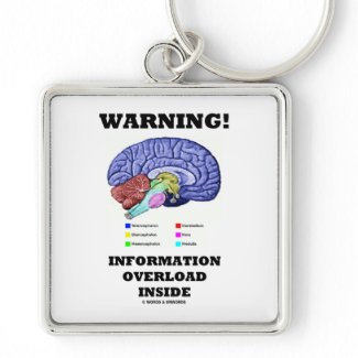 Warning! Information Overload Inside (Brain Humor) keychain