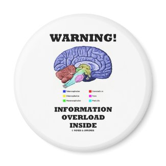 Warning! Information Overload Inside (Brain Humor) magnet