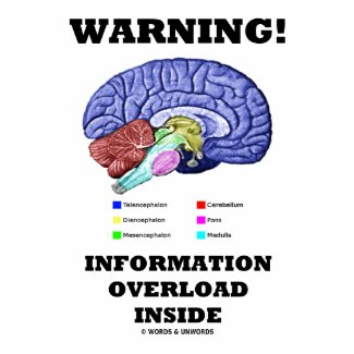 Warning! Information Overload Inside (Brain Humor) shirt