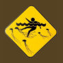 Warning Jellyfish in Water-Street sign