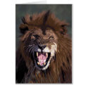 Warning Lion (card )