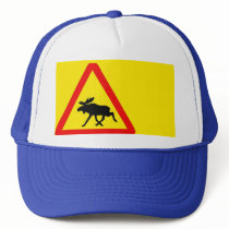 Warning of the moose mesh hats