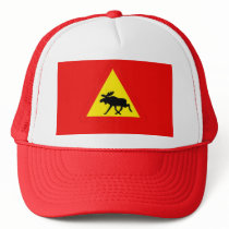 Warning of the moose trucker hats