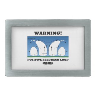 Warning! Positive Feedback Loop Inside Clouds Belt Buckles