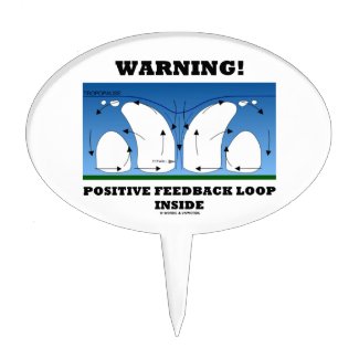 Warning! Positive Feedback Loop Inside Clouds Cake Picks