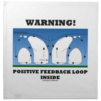 Warning! Positive Feedback Loop Inside Clouds Napkin