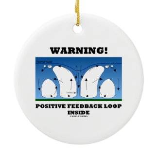 Warning! Positive Feedback Loop Inside Clouds Christmas Ornaments