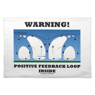 Warning! Positive Feedback Loop Inside Clouds Place Mats