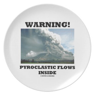 Warning! Pyroclastic Flows Inside (Volcano) Party Plates