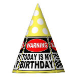 Warning Sign Birthday Message Party Hat