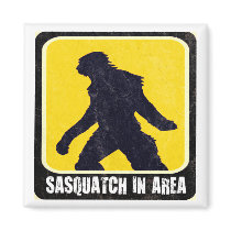 Warning Sign - Sasquatch in Area Fridge Magnets