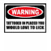 Ladies Destroyed T-Shirt