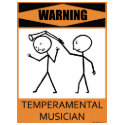Warning Temperamental Musician shirt