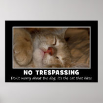 Warning to All Trespassers and Solicitors (S) Poster