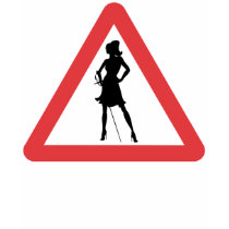 Warning - Woman with Rapier t-shirts