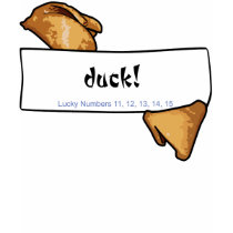Warped Fortunes...Duck!...Ladies Spaghetti Top t-shirts