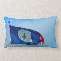 Warren County American MoJo Pillows