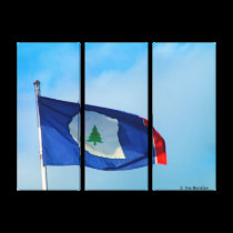 Warren County Flag canvas prints